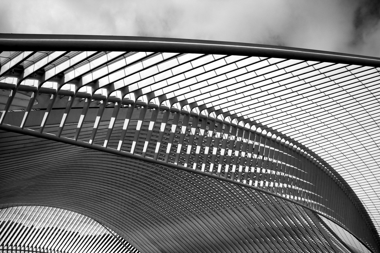 santiago calatrava, architect, railway station, shutter, liege-guillemins, architecture, architect, architect, architect, architect, architect